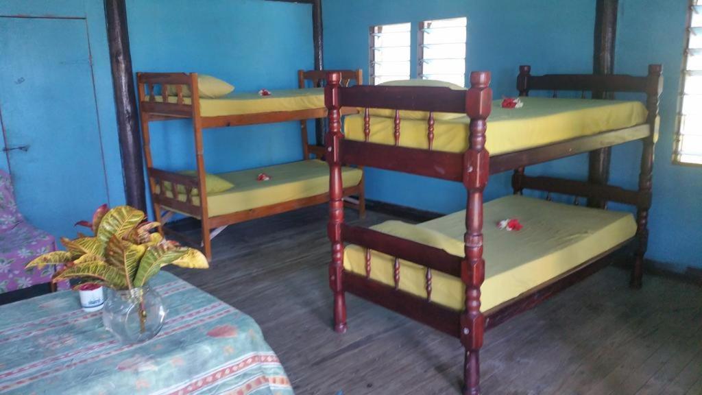 Sunrise Lagoon Homestay Nanuya  Extérieur photo